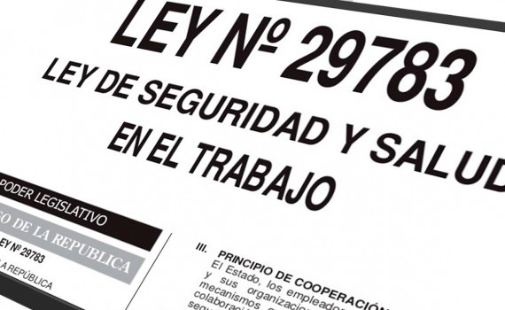 Texto de la Ley N.º 29783